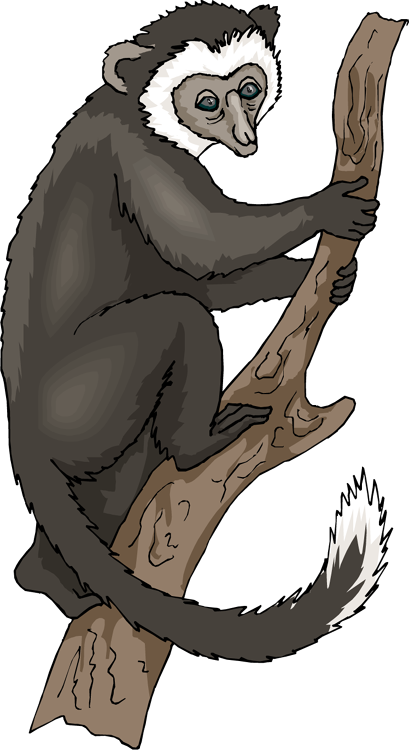 Monkey In A Tree - Clip Art (409x750)