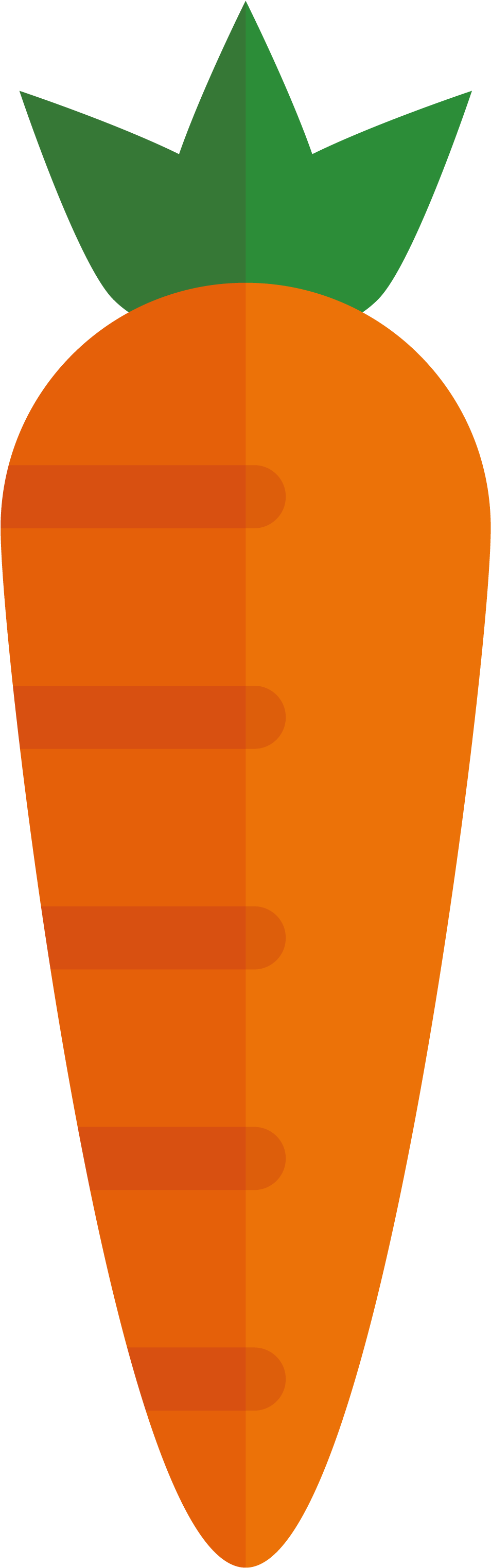 Euclidean Vector - Vector Carrot - Euclidean Vector - Vector Carrot (1917x3469)