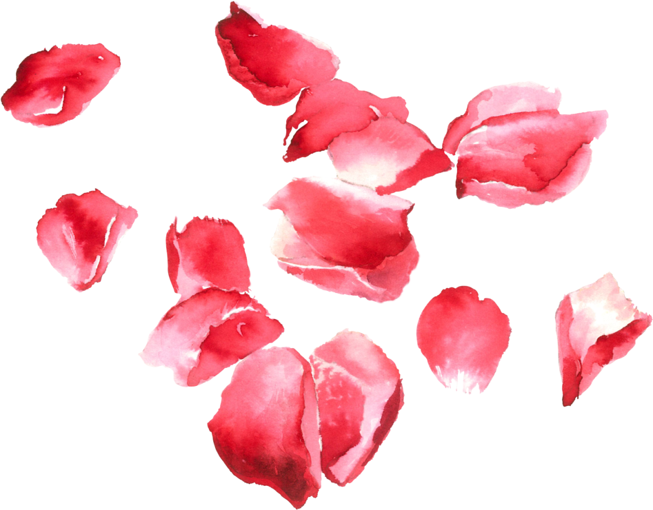 Rose (1024x816)