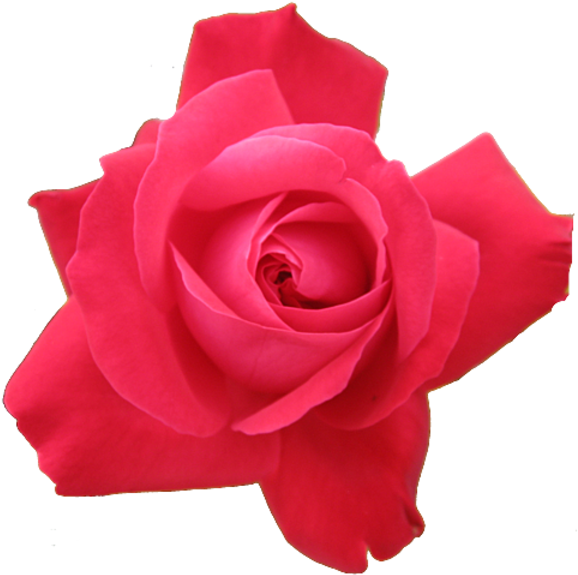Rest In Peace Sister (600x587)