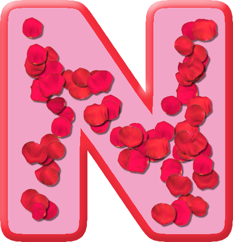 Letter N Rose Petals (477x495)