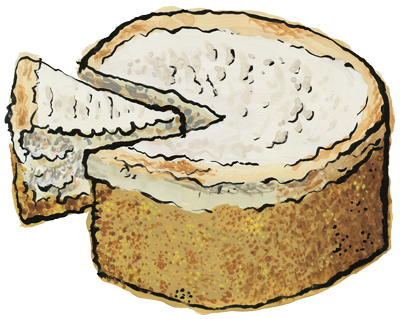 Cheesecake - Snack Cake (400x319)