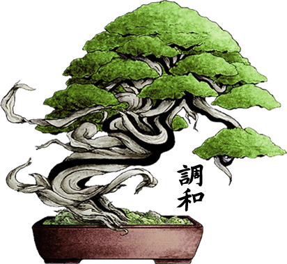 Studio Botanico Bonsai - Bonsai (412x379)