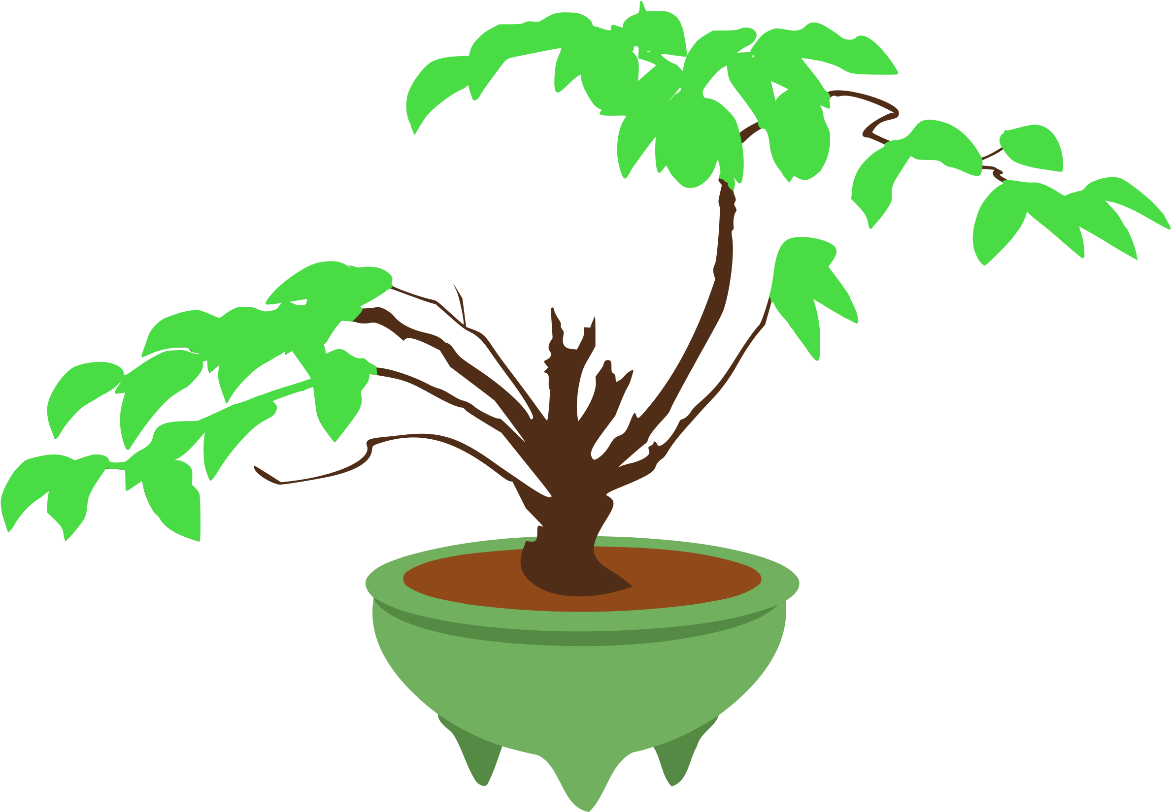 Big Image - Bonsai (2400x1661)