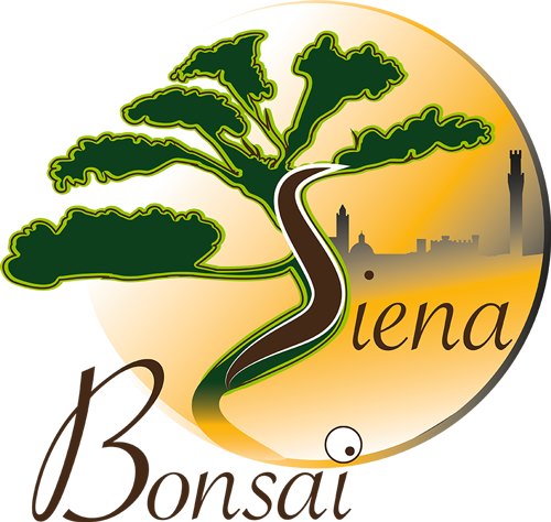 Siena (500x474)