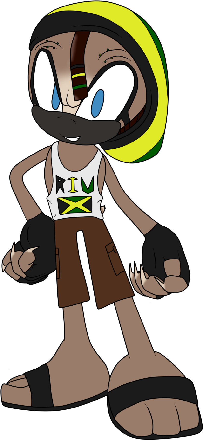 Sonic Oc - Cartoon (900x1920)
