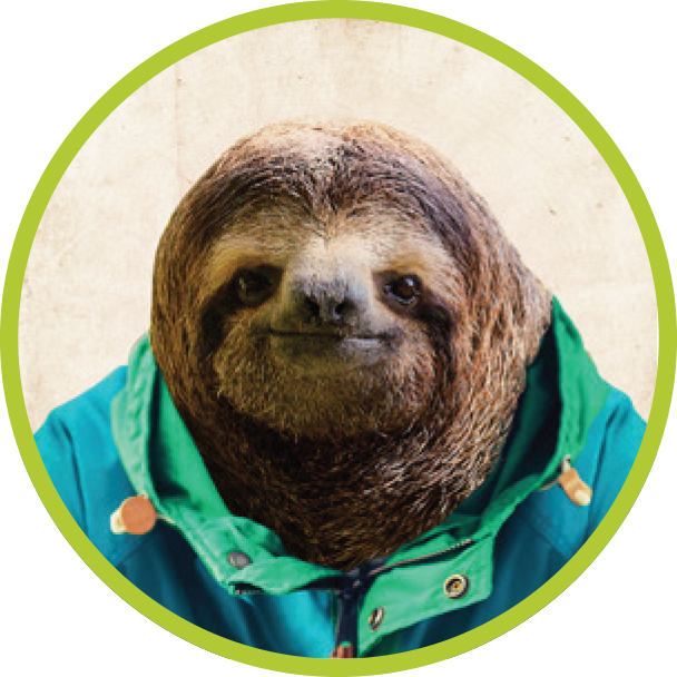 Default Image - Three-toed Sloth (608x608)