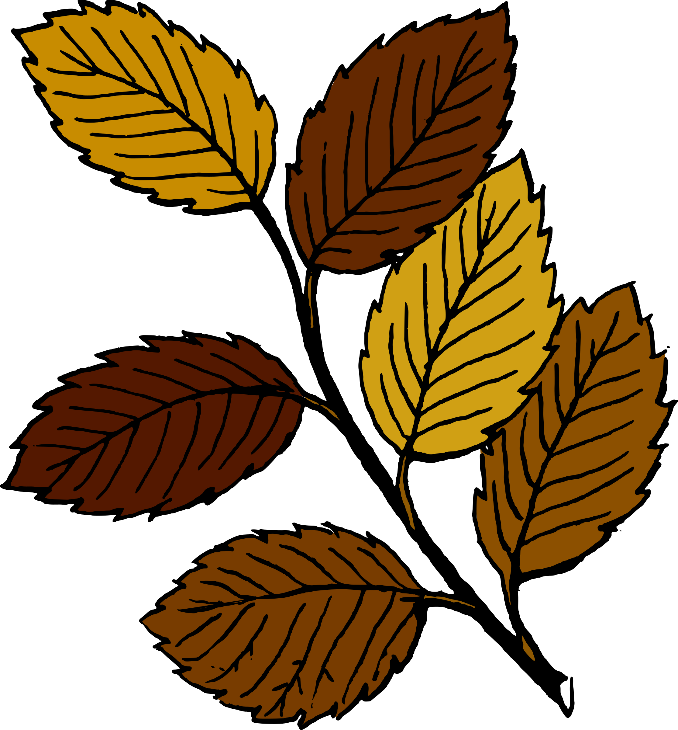 Leaves - Leaves (2231x2400)