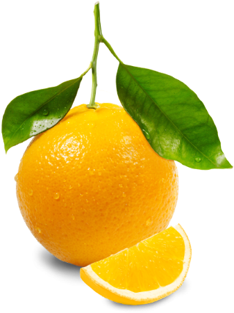 Png Orange (510x510)