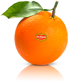 Orange - Photography (331x505)
