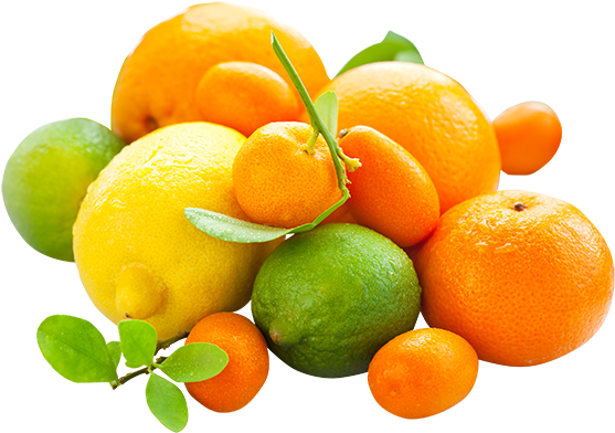 Stock.xchng (600x409)