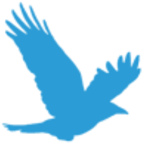 Bildung - Falcon (512x512)