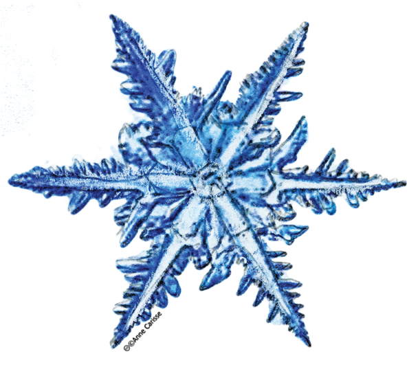 Flocons De Neige Gratuit (600x600)