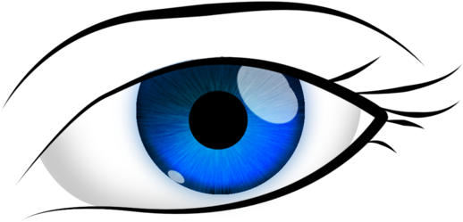 Brown Eyes Vector And Illustrations Clipart - Vector Graphics (900x506)