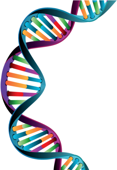Understanding Pcr: A Practical Bench-top Guide (560x560)