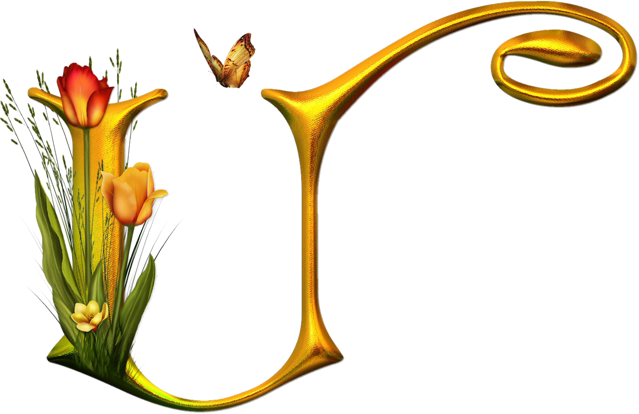 Alphabet (1286x835)