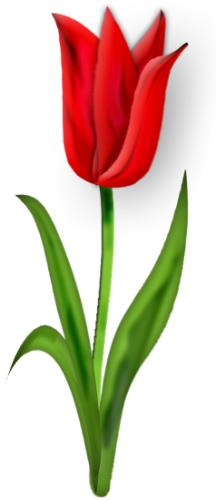 Fleurs - Page - Flower (238x550)