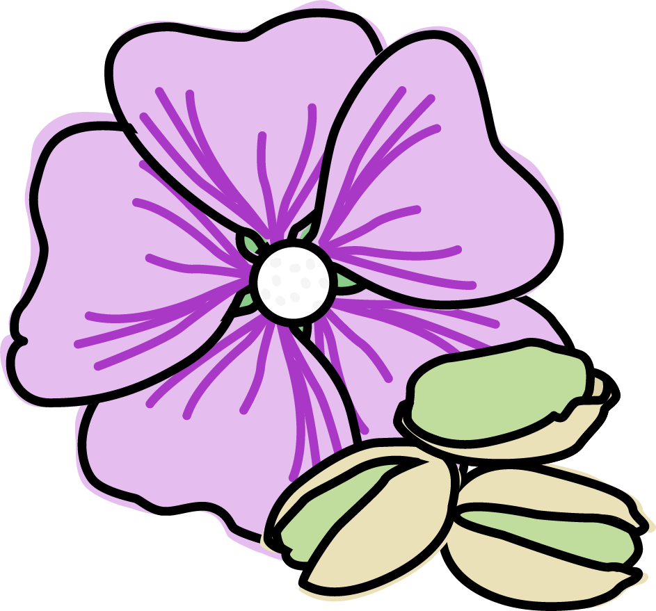 Clip Art (943x879)