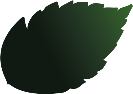 Circular Saw (492x347)