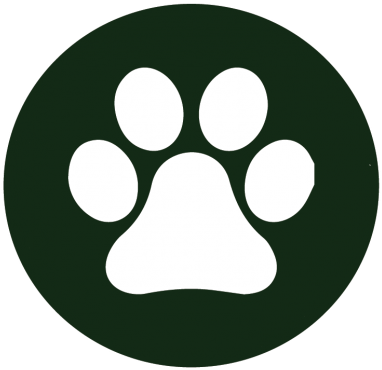 Respect Animals - Dog (390x400)