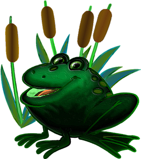 Amphibian (528x560)