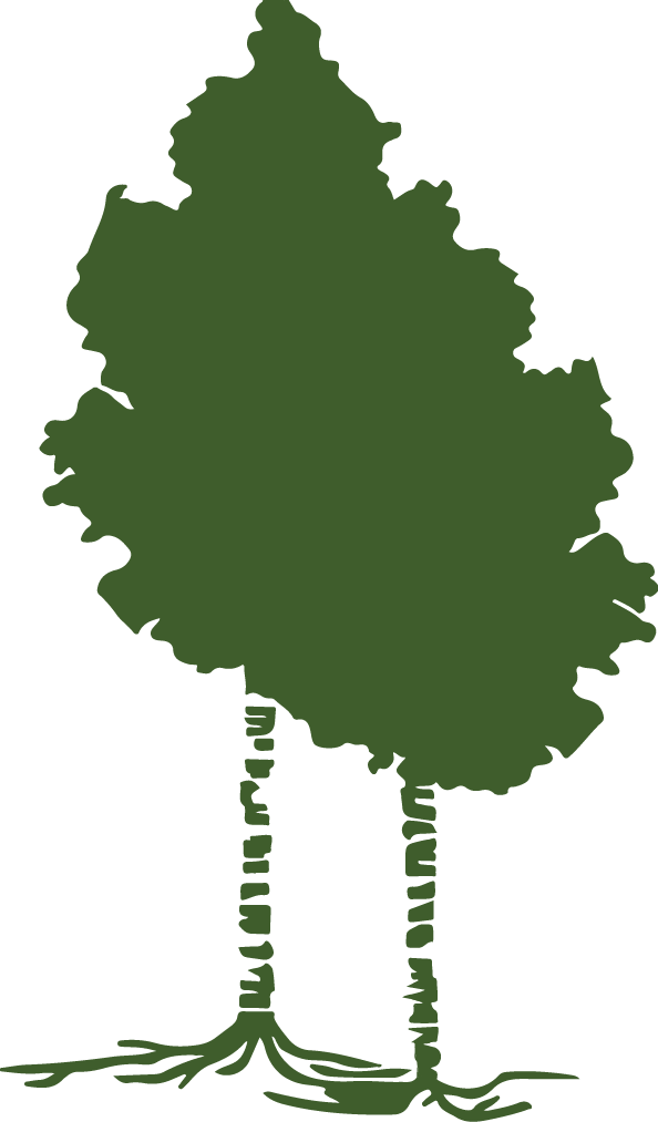 Our Process - Tree (594x1013)