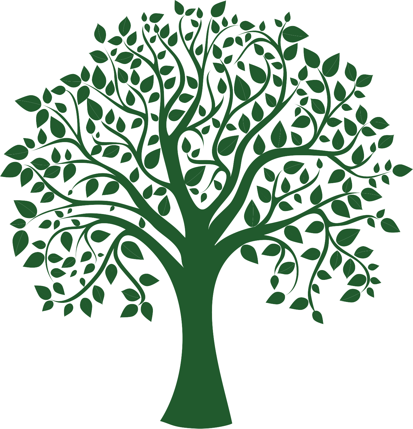 Go Green Tree - Sociology: The Basics [book] (1348x1401)