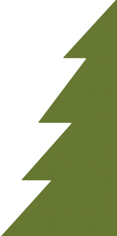 Tree (376x755)