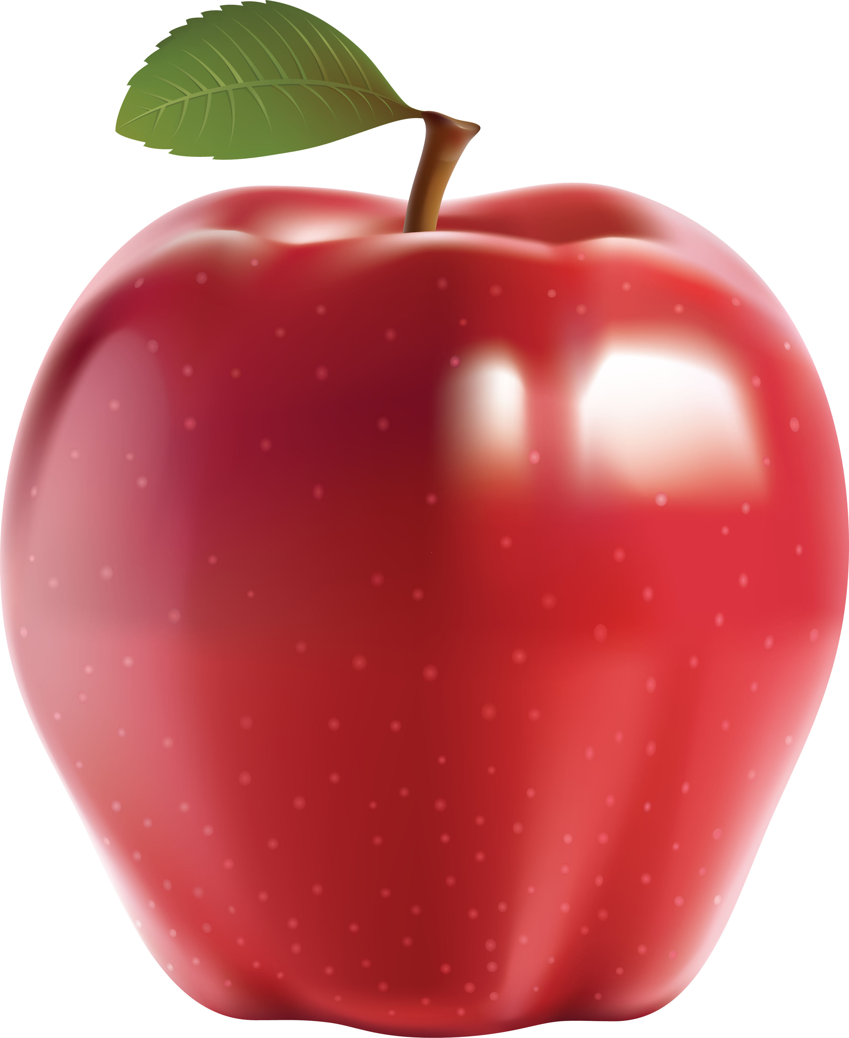 Png Format Apple Png (2852x3487)