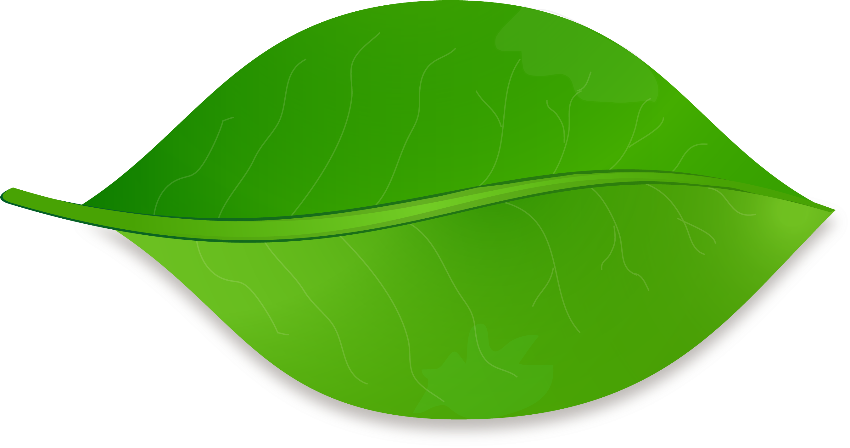 Leaf Shape Drawing Clip Art - Draw A Leaf In Illustrator (2720x1430)