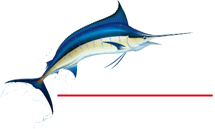 About Us - Blue Marlin Jumping (460x262)