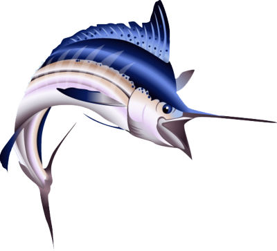 دیشب فیلم شبکه اجتماعی محصول 4 سال قبل سینمای آمریکا - Pez Marlin Png (400x363)