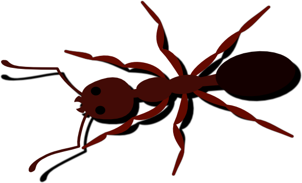 Ant Clip Art (600x364)