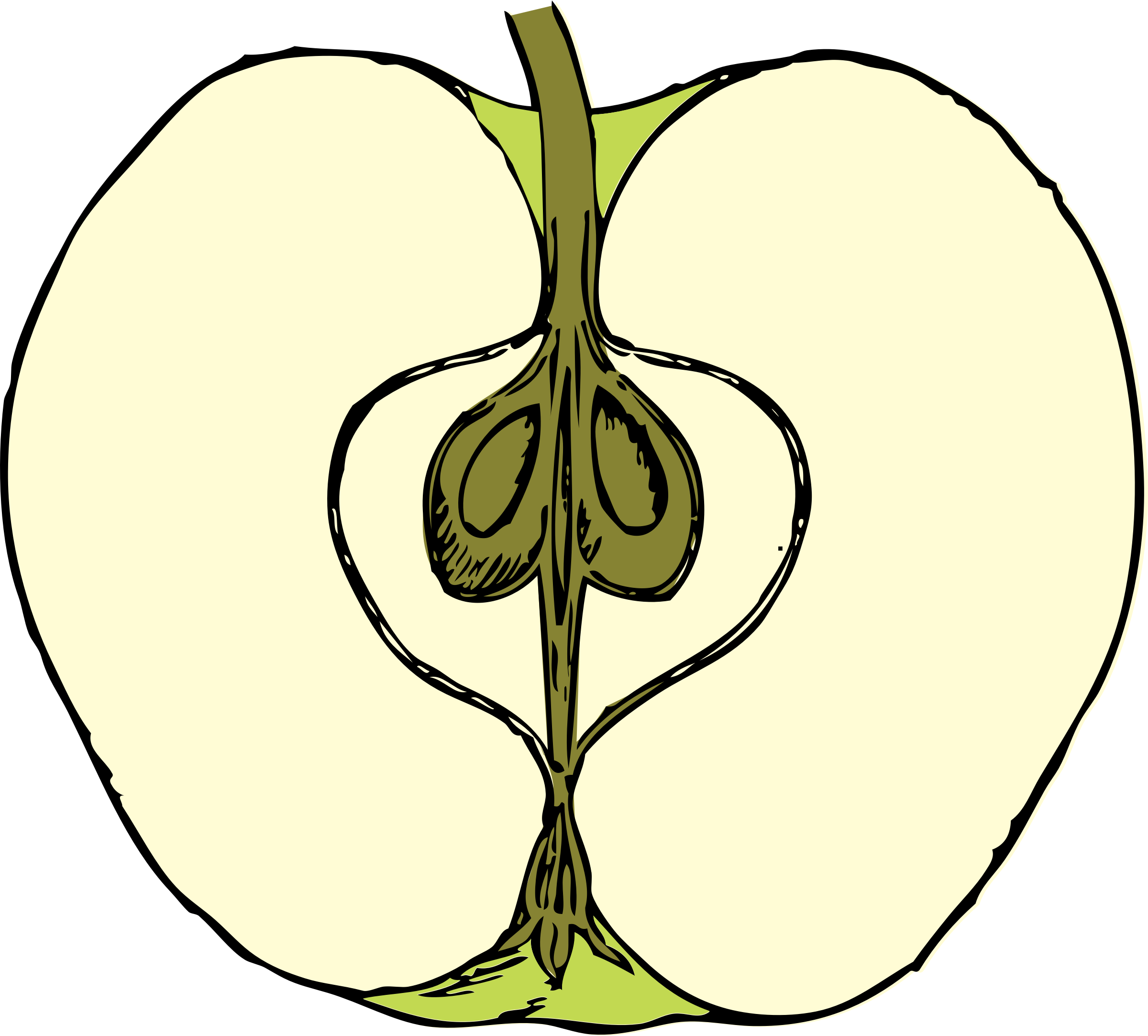 Apple In Cross Section - Apple In Cross Section (2400x2166)