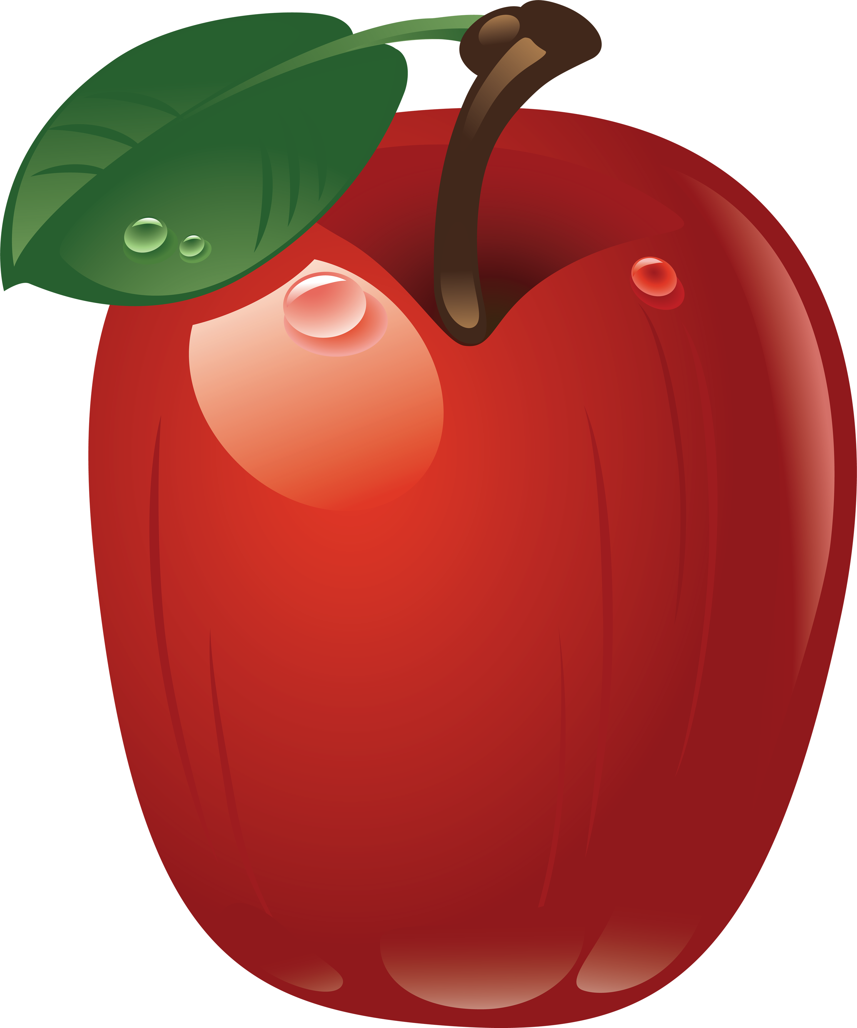 Apple Png - Яблоко Вектор Пнг (2914x3497)