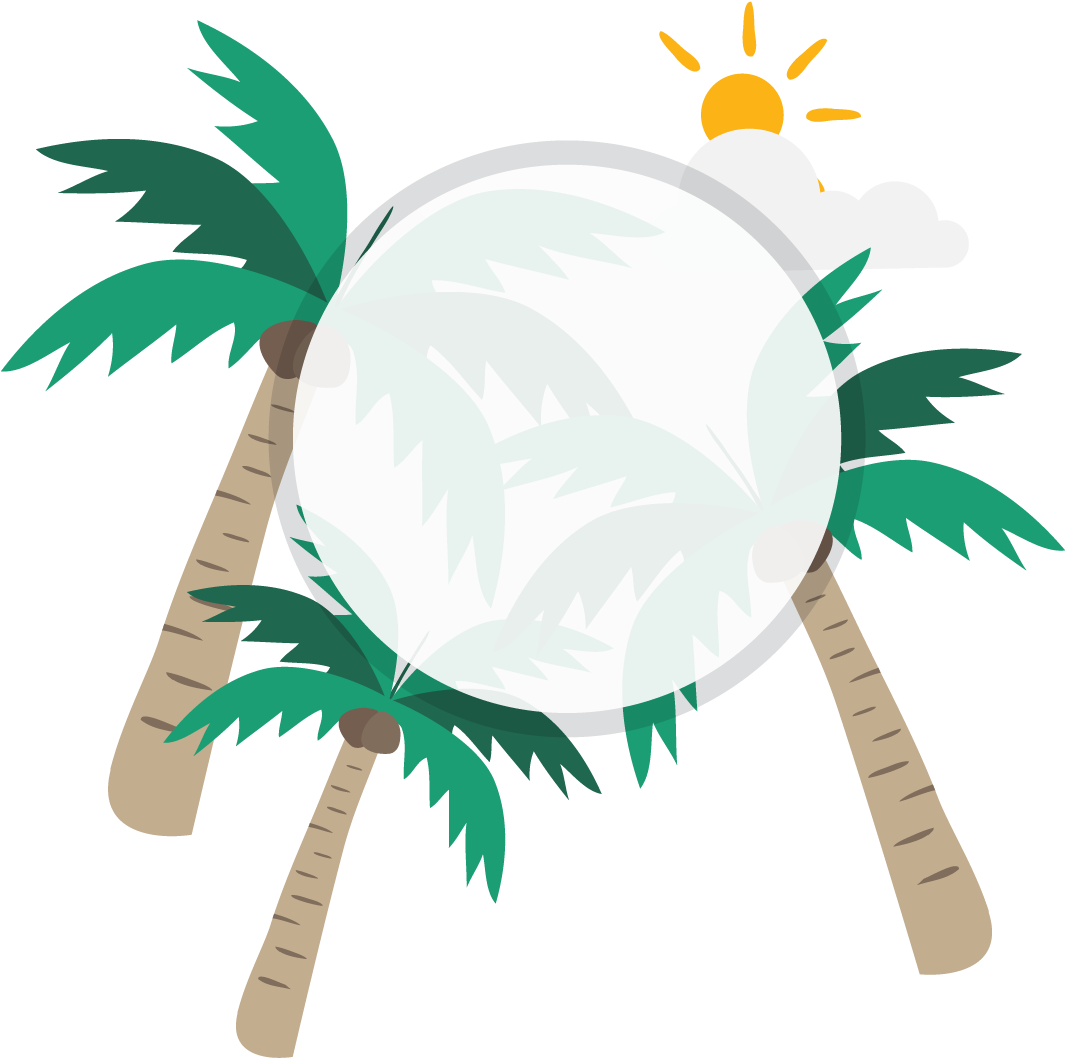 Coconut Milk Euclidean Vector - Illustration (1064x1164)