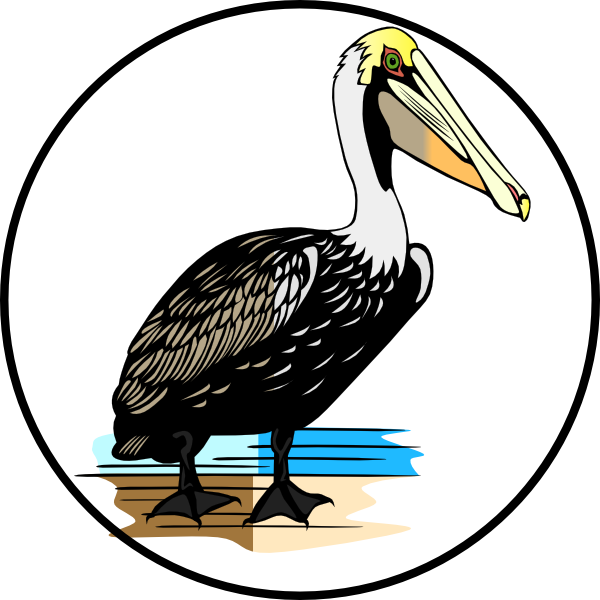 Custom Pelican Shower Curtain (600x600)