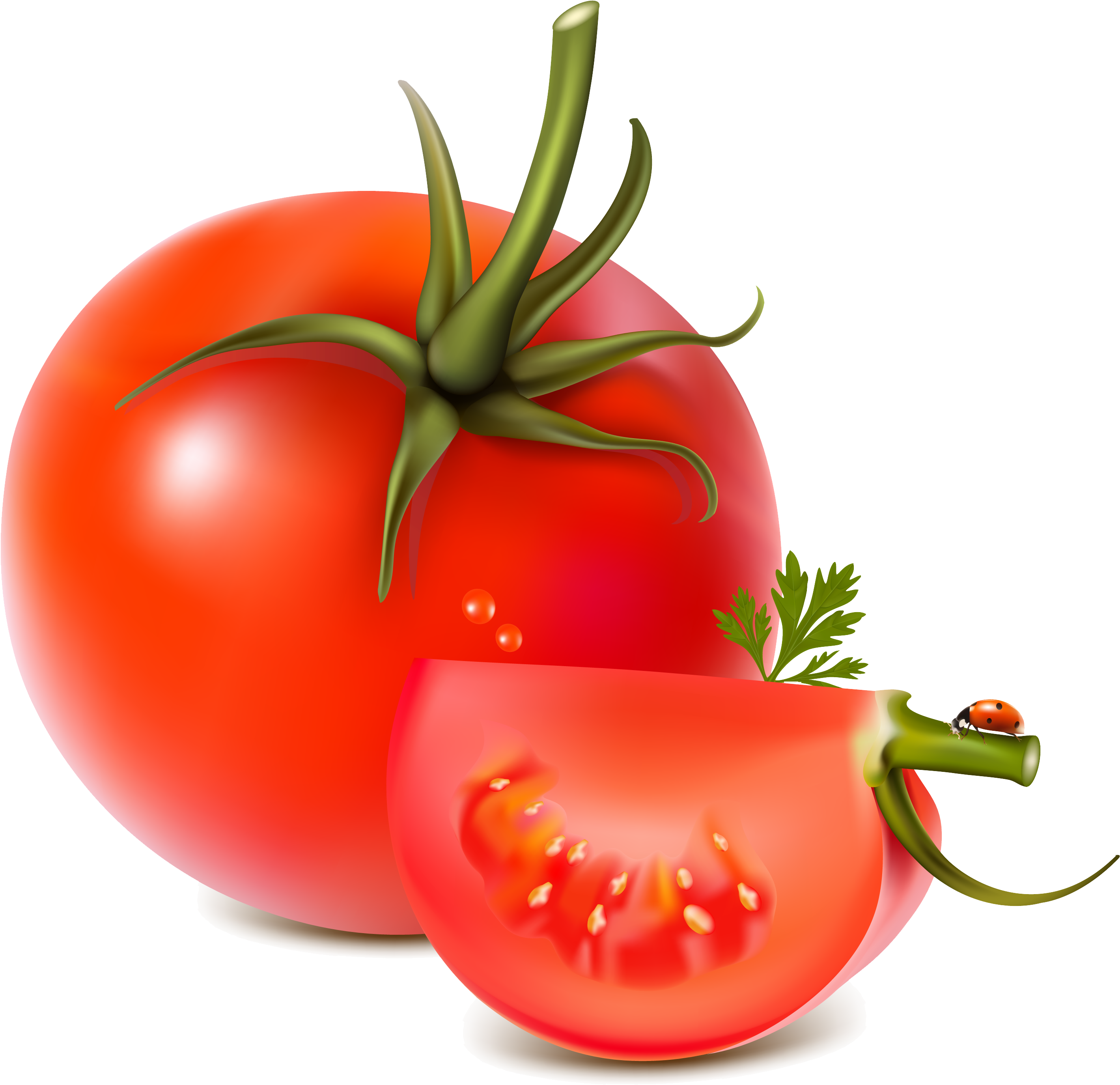 Tomato Png - Tomato Vector (3000x2962)