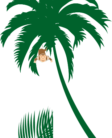 Beach (363x447)