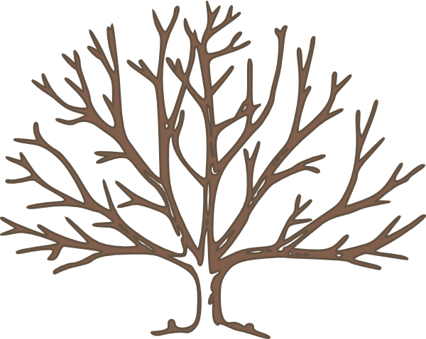 Pix For Bare Tree Template - Dharma Reader : Classical Indian Law (600x478)