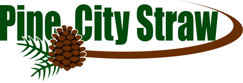 Pine City (800x274)