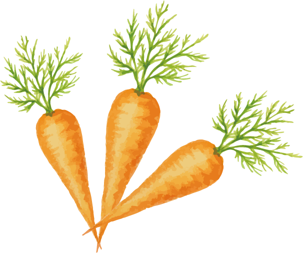 Carrot Vegetable Fruit - Carrot (606x506)