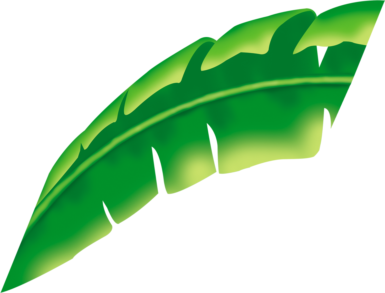 Морской Декор - Clip Art (1500x1144)