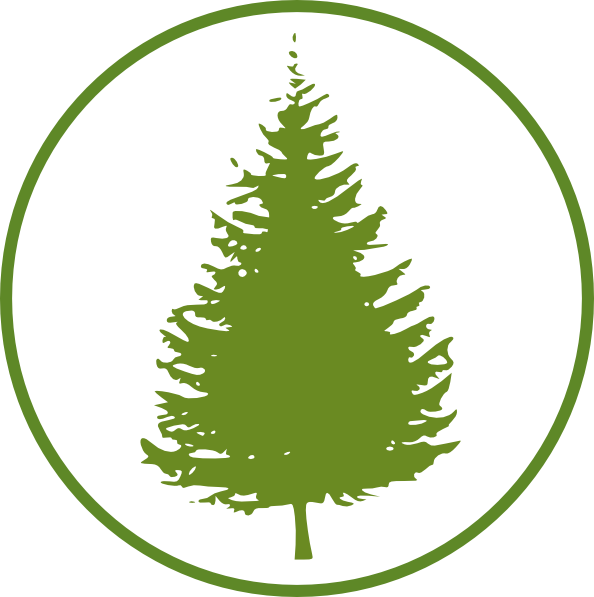 Pine Tree Silhouette (594x597)