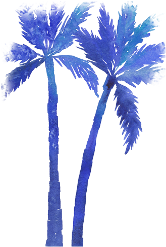 Palms - Borassus Flabellifer (400x594)