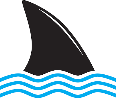 Sharkfin - Sharkfin (400x336)