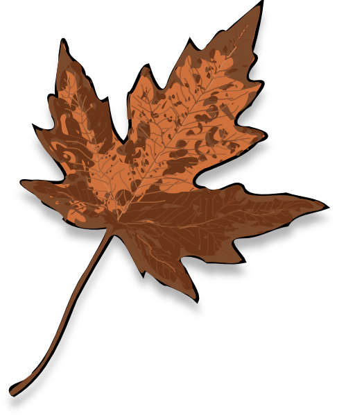 Maple Leaf Clip Art (486x599)
