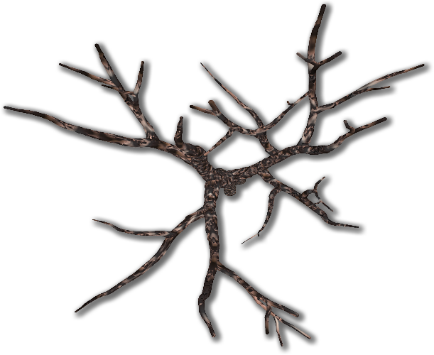 Black Oak (611x500)