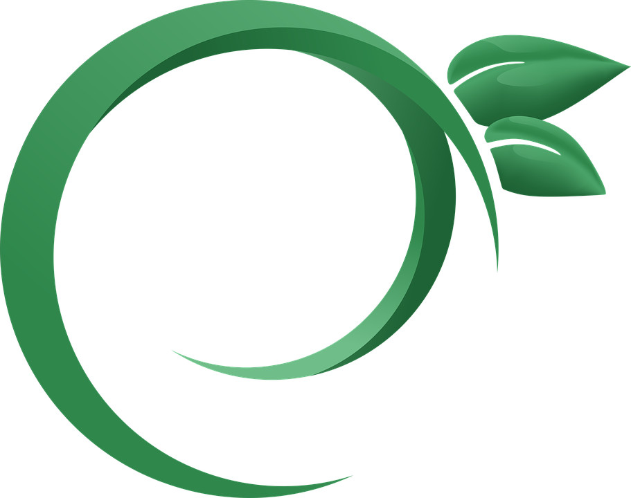 Photography Logo Vector Free Download Png - Logo Daun (911x720)