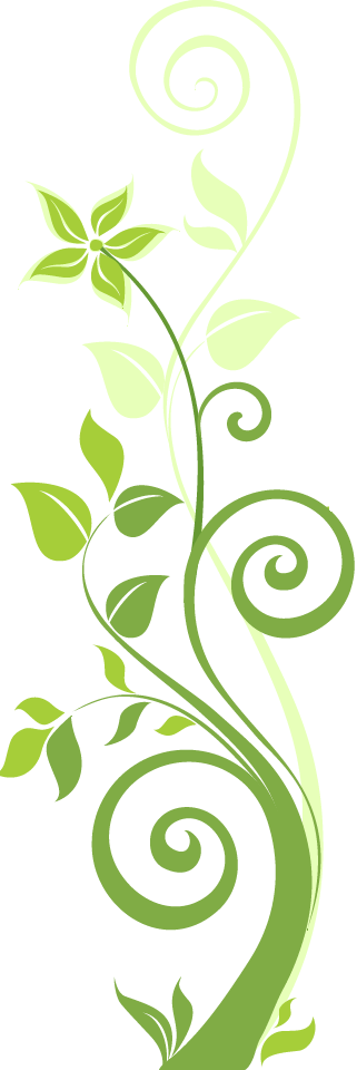 Graphic Design - Graphic Design (321x960)